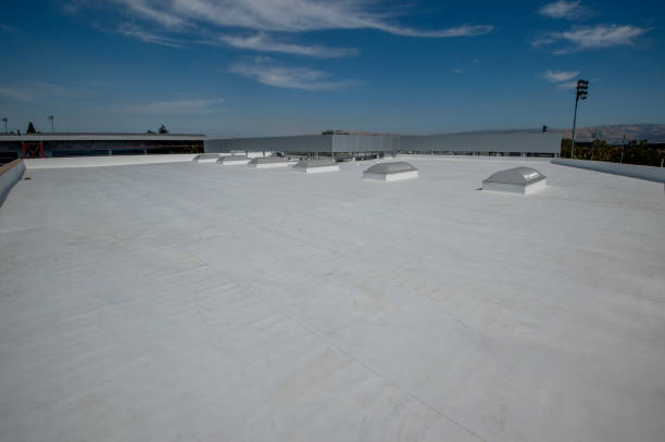 Best Roof Moss and Algae Removal  in Saticoy, CA