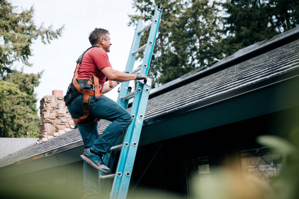 Best Roof Maintenance and Cleaning  in Saticoy, CA
